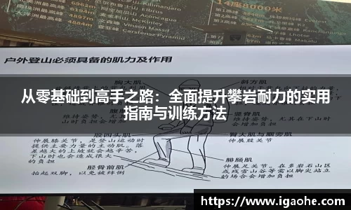 从零基础到高手之路：全面提升攀岩耐力的实用指南与训练方法